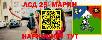 крисы Партизанск